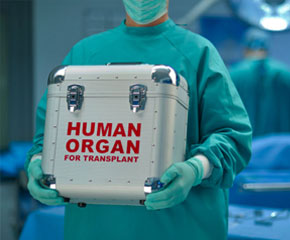 Organ Transplant